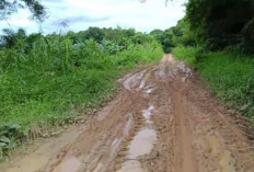 Rusak Parah, Warga Desa Kembang Seri Butuh Perbaikan JSP