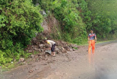 Cuaca Ekstrem Waspada Longsor dan Pohon Tumbang di Kabupaten Kaur