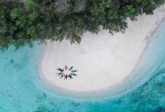 Pulau Dolphin, Surga Tersembunyi dengan Pesona Bahari Memukau, Berikut Aktivitas Menarik Disana