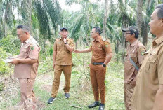 Tebat Niniak Segera Direvitalisasi, Jadi Penyangga Ratusan Hektar Sawah dan Perkebunan