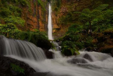 Air Terjun Kapas Biru di Lumajang, Informasi Harga Tiket dan Jam Buka