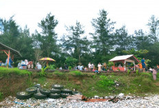 Kawasan Wisata Coconut Beach di Desa Terulung Jadi Alternatif Wisata Keluarga