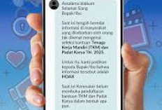 Hati-hati! Penipuan Program Tenaga Kerja Mandiri 2025 Marak di Medsos