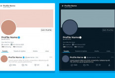 X Siapkan Fitur Jual Username Tidak Aktif Khusus untuk Pelanggan Premium