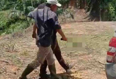 Konflik Lahan di Pino Raya Memanas Lagi, Nyaris Terjadi Pertumpahan Darah