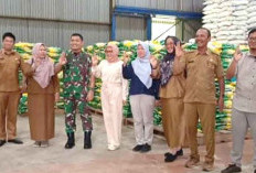 Warga Bengkulu Selatan Jangan Takut Kelaparan, Stok Beras Melimpah