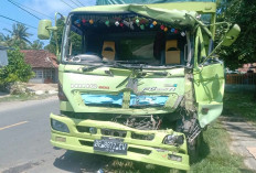 Truk Bermuatan Kayu Gelondongan Diseruduk Fuso