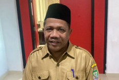 Dicoret Dari Daftar PPPK, Tenaga Honorer Datangi BKPSDM