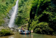 Air Terjun Mandin Mangapan, Keindahan Alam di Tengah Hutan Pegunungan Meratus