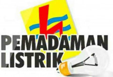 Besok Listrik di Kaur Mati Total, Ini Penjelasan PLN