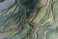 Cina Sulap Perbukitan Jadi Lahan Sawah, Luasnya Ratusan Ribu Hektar, Bentuknya Indah Seperti Tangga Ke Surga