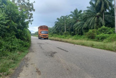Usulan Disetujui Pemerintah Pusat, 3 Titik Jalan di Bengkulu Selatan Segera Dimuluskan