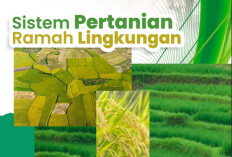 Petani Bengkulu Diajak Beralih ke Pertanian Ramah Lingkungan