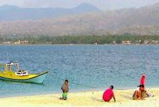 Sejarah Singkat Pulau Awololong Di Lembata, Pulau Yang Indah, Surganya Siput dan Kerang