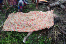 BREAKING NEWS! 1 Dari 4 Perempuan Hanyut di Sungai Kedurang Ditemukan