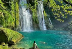 Air Terjun Lematang Indah, Destinasi Wisata Air Terjun yang Memikat di Pagar Alam