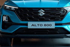 Suzuki Alto 800, Mobil cerdas dan Nyaman Untuk Kendaraan Keluarga