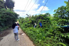 Tersangka Pembacokan di Pekan Masat Buang Sajam, Berniat Kabur Kampung Halaman