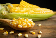 Jangan Sembarangan Simpan di Kulkas, Ini Cara Tepat Menjaga Rasa Manis Jagung