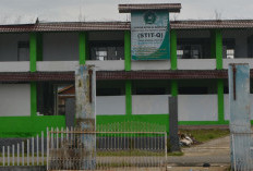 Perpustakaan STITQ Bengkulu Selatan Sediakan Ribuan Buku Bacaan Menarik