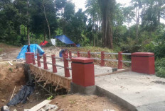 Pembangunan Jembatan Sentral Tani Rampung