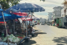 Musim Hujan, Harga Cabai di Bengkulu Selatan Mulai Naik