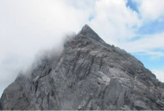 5 Gunung Tertinggi di Papua, Tak Sembarangan Orang Bisa Mendaki, Ini Daftranya