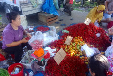 Jelang Tahun Baru, Harga Cabai di Seluma Mulai Terasa 