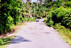 Jalan Di Dusun Bingkil Desa Terulung Rusak Parah