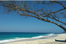 Keindahan Pantai Pasir Putih Mingar, Pusat Kuliner Sedap di Nusa Tenggara Timur