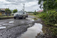 Jalan Komplek Perkantoran Padang Kempas Berlubang, 2025 Ditarget Kembali Mulus