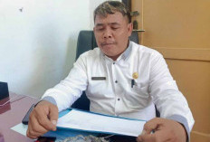 Ijazah SD dan SMP di Kabupaten Kaur Masih Manual