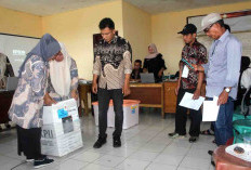 Partisipasi Pemilih di PSU Pilkada Bengkulu Selatan Menurun