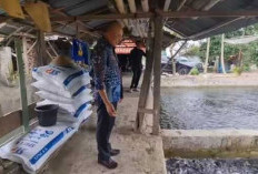 Potensi Perikanan Dinilai Tinggi, Pemkab Bengkulu Selatan Lobi Investor China