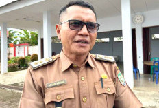 Distan Seluma Usulkan Benih Jagung Ke Kementan Untuk Lahan 3500 Hektar