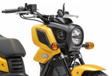 Honda Rilis Zoomer X 2026, Skuter Futuristik Ramah Kota Dilengkapi Teknologi Hybrid Canggih
