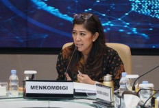 Internet Masuk Desa, 1.194 Kampung di Indonesia Nikmati Akses Broadband