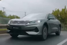 BYD Dan Denza Bikin Geger, 2 Mobil Listrik Harga Murah dnan Tampilan Mewah