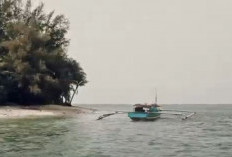 Pulau Tikus, Wisata Bahari Di Bengkulu Yang Tak Berpenghuni, Cocok Untuk Tempat Camping dan Surganya Pemancing