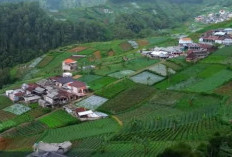 Dusun Wonomulyo, Desa Tersembunyi di Lereng Gunung Lawu yang Memukau