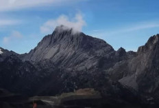 Puncak Jaya, Gunung Paling Ekstrem di Indonesia, Pilihan Orang Bisa Mendakinya