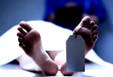 Innalillahi… PMI Asal Seluma yang Sakit Keras di Jepang Dikabarkan Meninggal Dunia