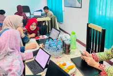 Monitoring Pembinaan Portal Satu Data di Lingkungan Pemkab Bengkulu Selatan