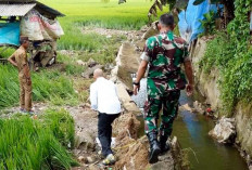 Penanganan Pasca Banjir, Pemdes Butuh Dukungan Dinas PUPR dan Distan