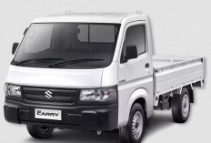 UMKM Meningkat, Suzuki Carry Jadi Andalan Penjualan