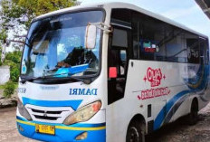 Masyarakat Kaur Minta Tambahan Armada Damri