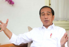 Dirumorkan Ingin rebut Kursi Ketua Partai, Ini Kata Jokowi