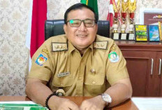 Wow! Produksi Gabah Kaur Tembus 42 Ribu Ton