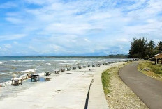 Dispar: Hanya 3 Tempat Wisata di Bengkulu Selatan yang Diizinkan Menarik Tiket Masuk