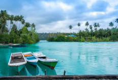 Fakta Unik Danau Labuan Cermin Kalimantan Timur, Nyaris Tak Masuk Akal, Namun Itulah Kuasa Tuhan